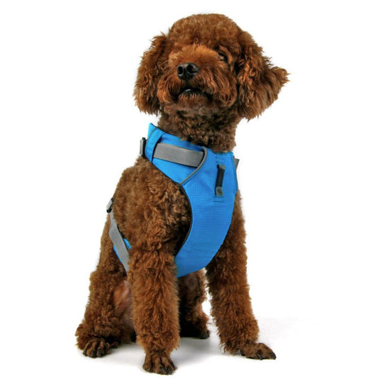 Arnés antitirones para perros