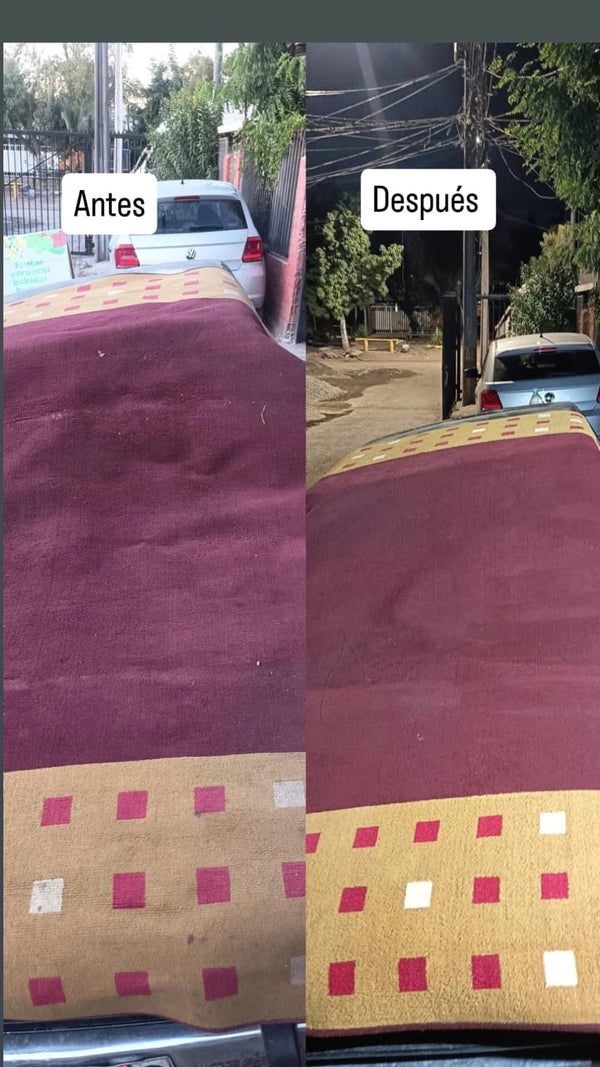 Alfombra — limpieza profunda