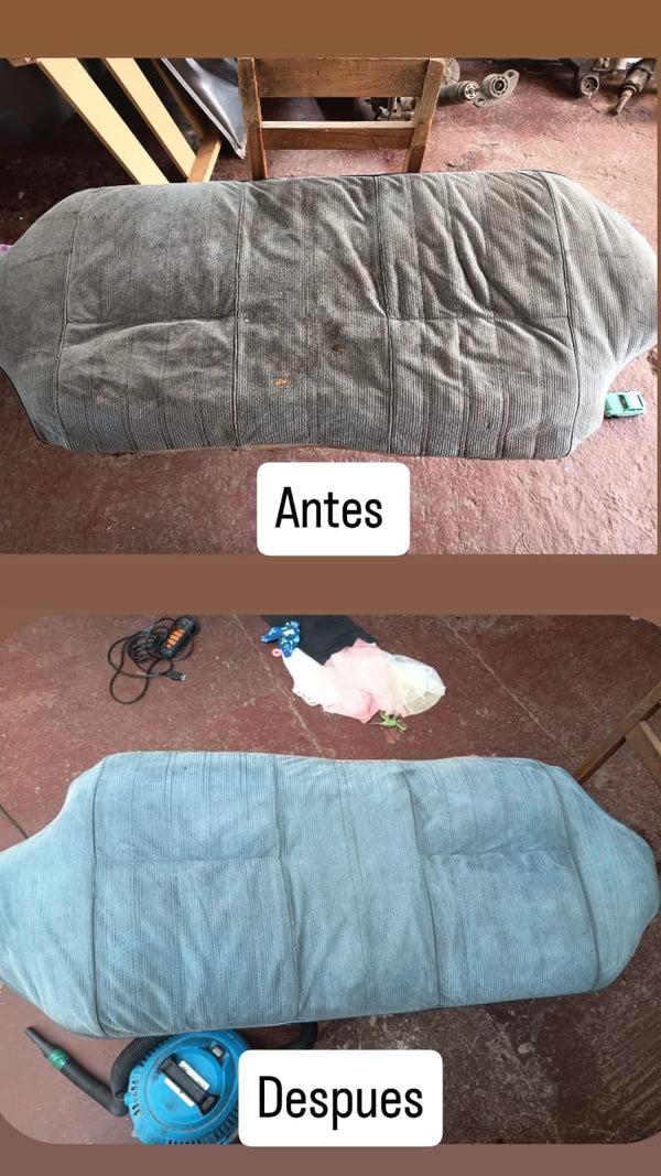 Cojín — sin manchas